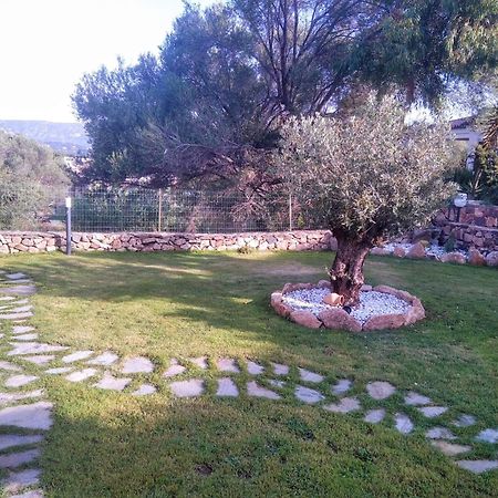 Villetta Cala D'Ambra San Teodoro  Extérieur photo